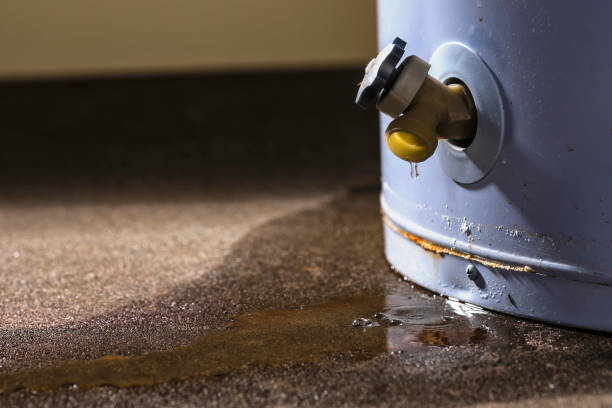 Local water damage restoration in West Ocean City, MD