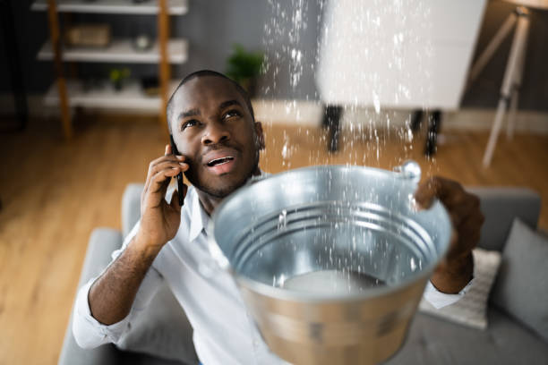 Best Carpet water damage restoration  in West Ocean City, MD