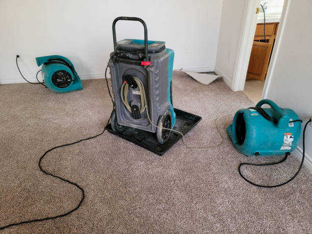 Fire Damage Restoration in West Ocean City, MD