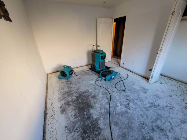 Best Flood damage cleanup  in West Ocean City, MD