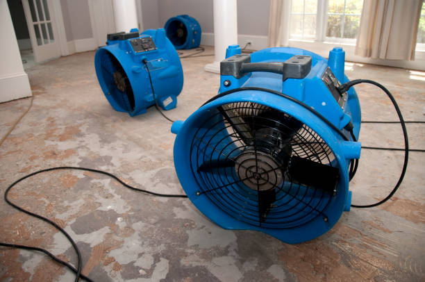 Best Flood restoration services  in West Ocean City, MD