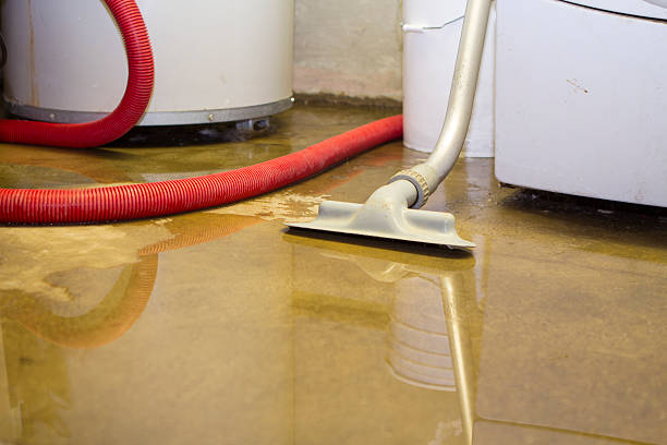 Professional Water damage restoration in West Ocean City, MD