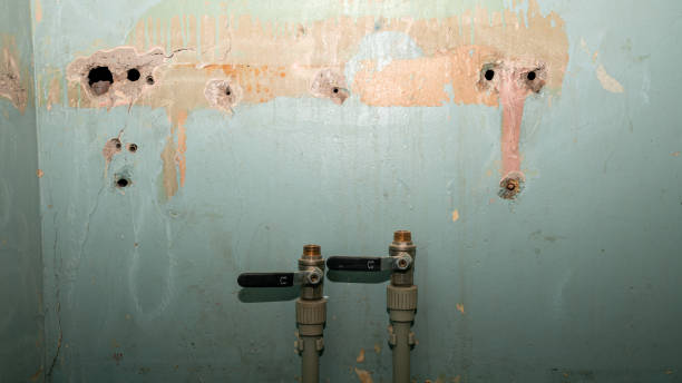 Best Carpet water damage restoration  in West Ocean City, MD