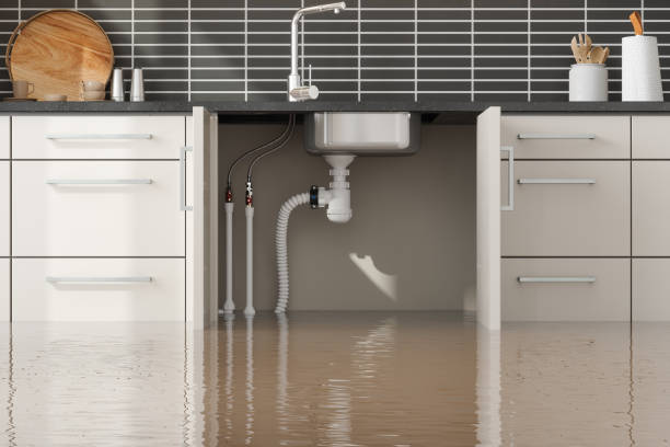 Best Commercial water damage restoration  in West Ocean City, MD