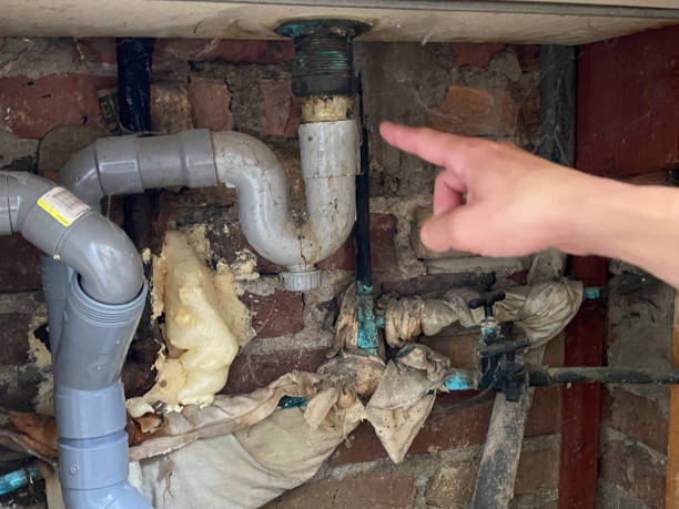 Best Water damage cleanup near me  in West Ocean City, MD